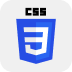 CSS Logo